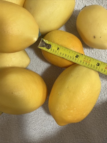 Artificial Faux Resin Lemons Home Decor Prop Staging 11 Bright Yellow Lemons - Picture 6 of 7