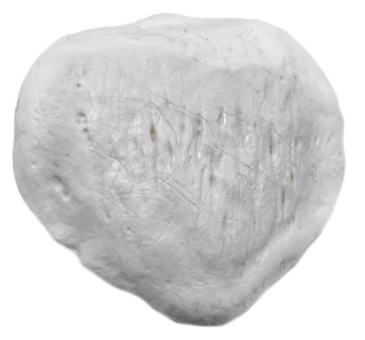 Patella Bone - L - Anatomically Accurate, Detailed Human Bone Replica - hBARSCI