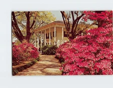 Postcard The Mitchell Home on Spring Hill Avenue Mobile Alabama USA