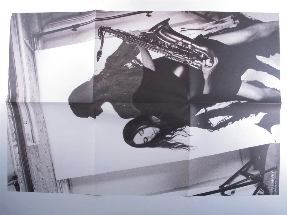 PJ HARVEY The Hope Six Demolition Project ISLAND LP VG++ 180g with poster a - Image 3 of 3