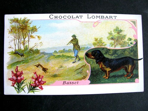 BUVARD *CHOCOLAT De Regime Dardenne* EUR 2,99 - FR