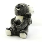 Bild 4 von 9
