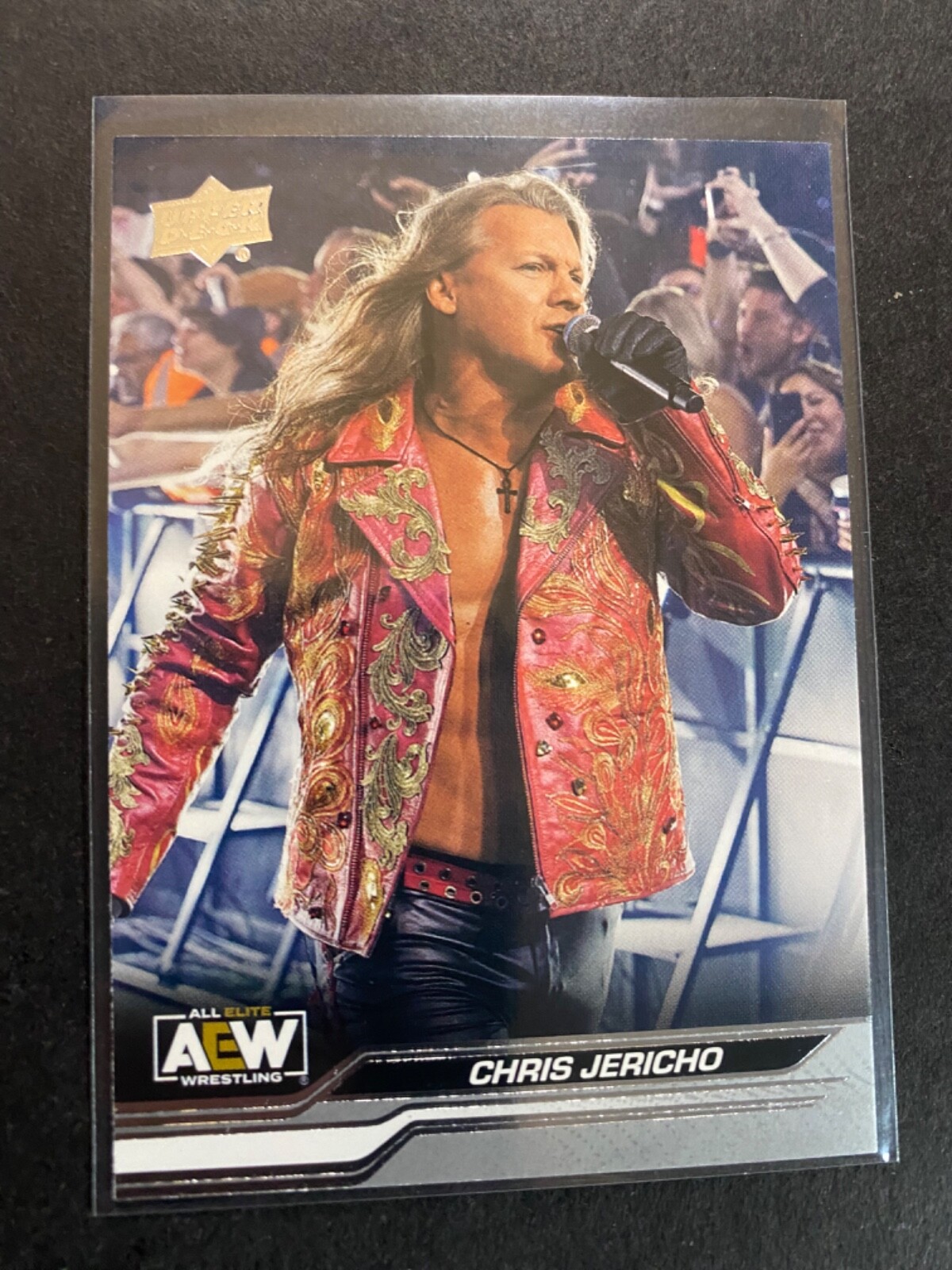 Chris Jericho - 2024 Upper Deck AEW Wrestling Card #5