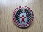 Soviet Pin Badge USSR CHILDREN'S FUND OF THE CHERNOBYL UNION