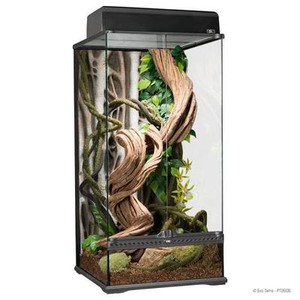 Exo-Terra-Natural-Glass-Terrarium-Small-X-Tall-18-x-18-x-36