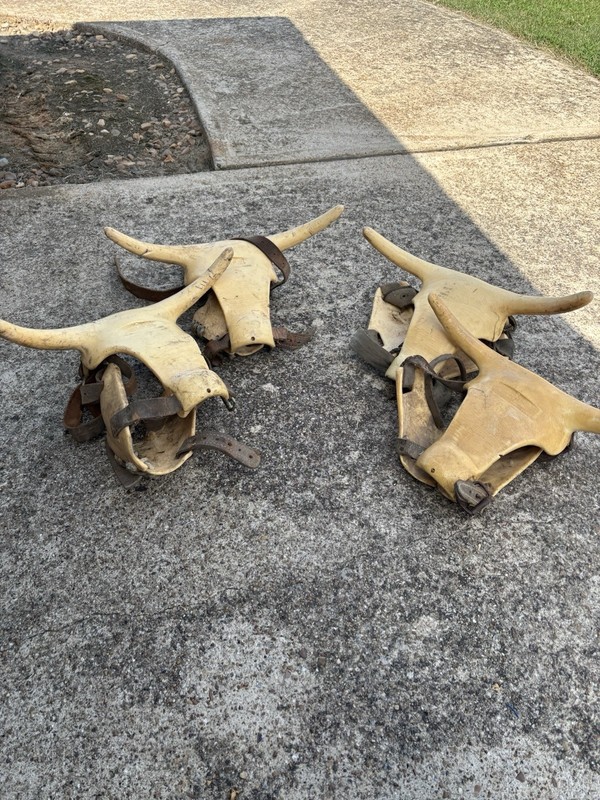 Hardy Roping Horns