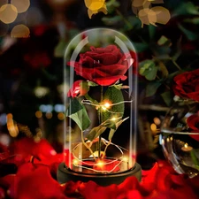Rose in a Glass Dome Beauty and the Beast Enchanted Red Silk Rose LED Light Roma