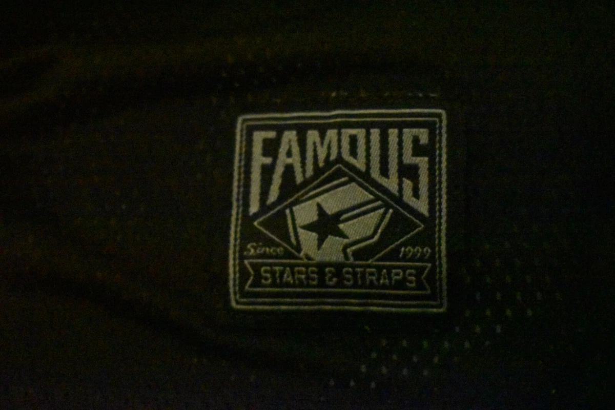 Famous Stars And Stripes Logo