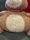 Foto 5 di 16