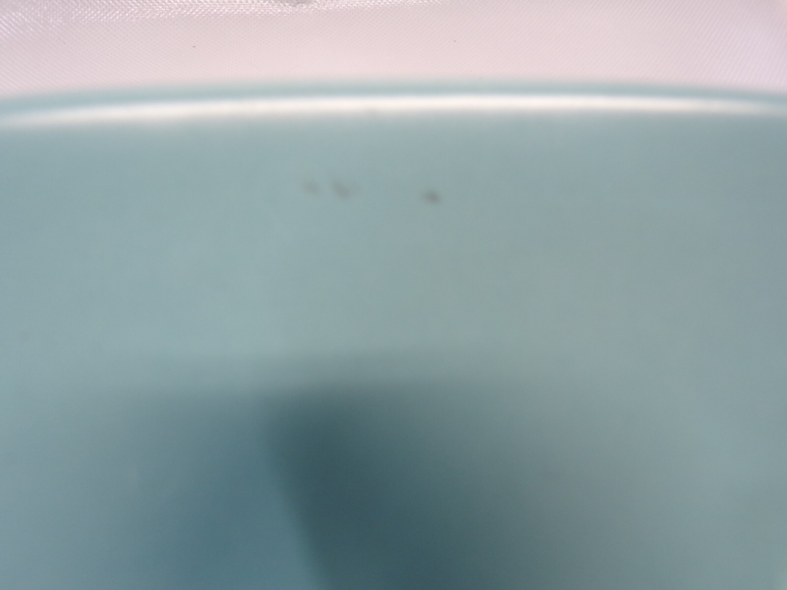 Picture 6 of 16