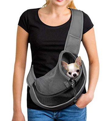 pet papoose