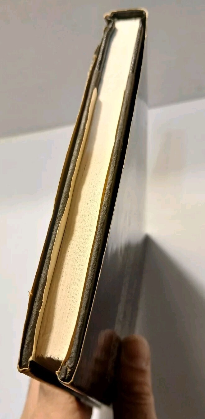 Picture 5 of 20