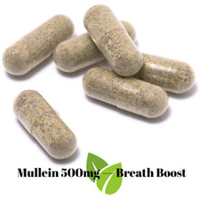 Mullein Capsules 60 Ct   Organic Vegan Lung  Respiratory Support