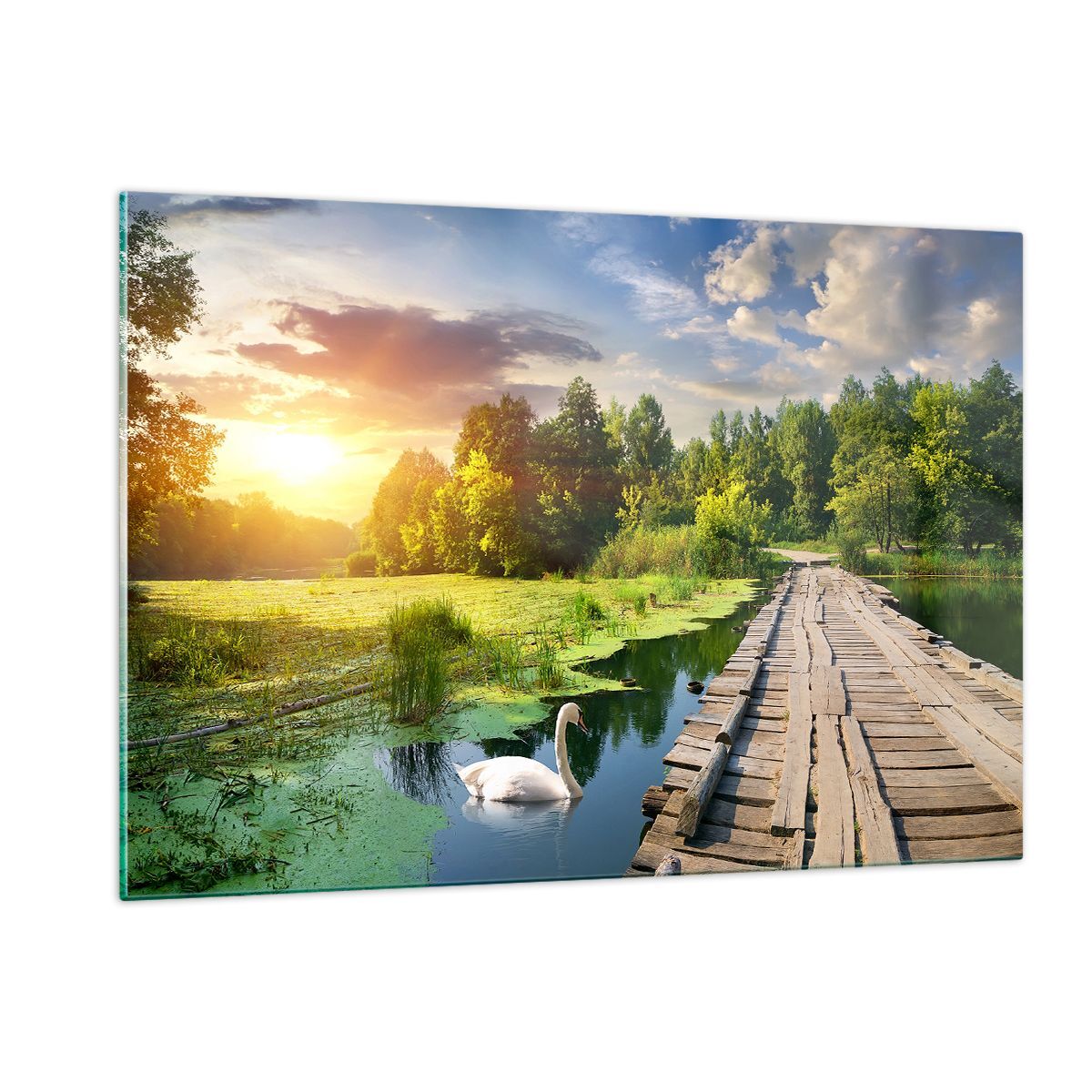 Quadro su Vetro 120x80cm architettura lungomare Cigno Paesaggio Stampe Murale