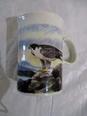Dunoon Mug/Cup  Stoneware Made in Scotland designed by Jack Dadd Hawks Ex.