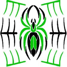 30 Custom Green Spider Web Personalized Address Labels