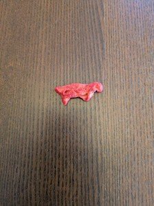 ***SUPER RARE*** TAKIS CHIP 2025 EDITION *DINOSAUR SHAPED* EXTRA RARE TAKI