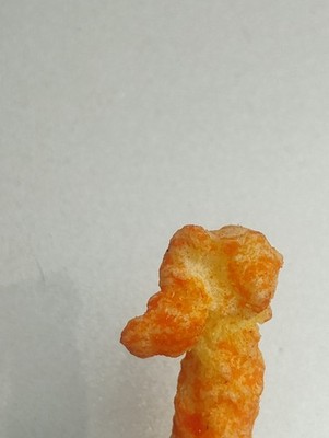 Crunchy Cheetos Shaped Poodle DOG
