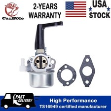 Carburetor For Briggs  Stratton 696065 697422 110412 110402 Engine carb gasket