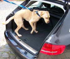 Posacenere Per Dacia Sandero 3 Stepway 2020-2024 - Automatico, Design Compatto E Antiodore - Foto 9