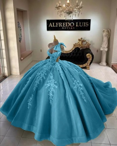 Custom Color Quinceanera Dress Dance with Bow Sweet 15 Princess Party Ball Gown - Picture 26 of 26
