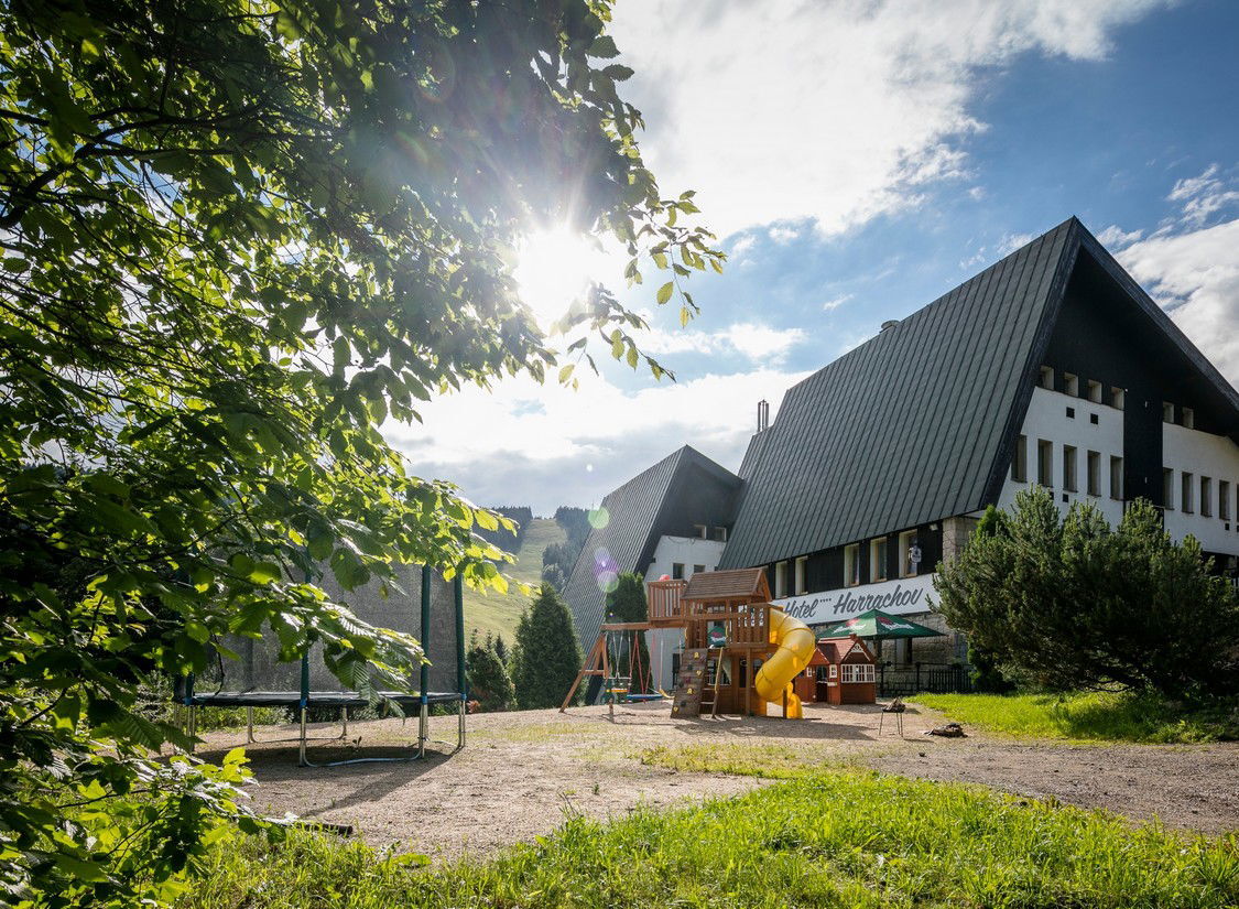 Bild 5 von 12
