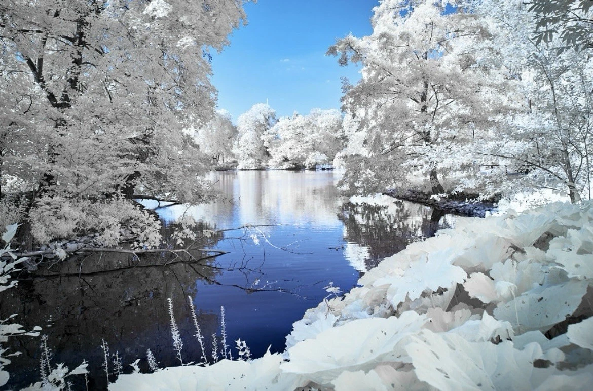 590nm Infrared Filter 49mm for Full Spectrum Modified Camera See Video Infrared