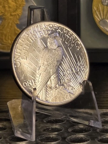 1925 Silver Peace Dollar High Grade!! GEM BU!!