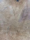 Bild 10 von 14