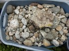 Picture 5 of 24