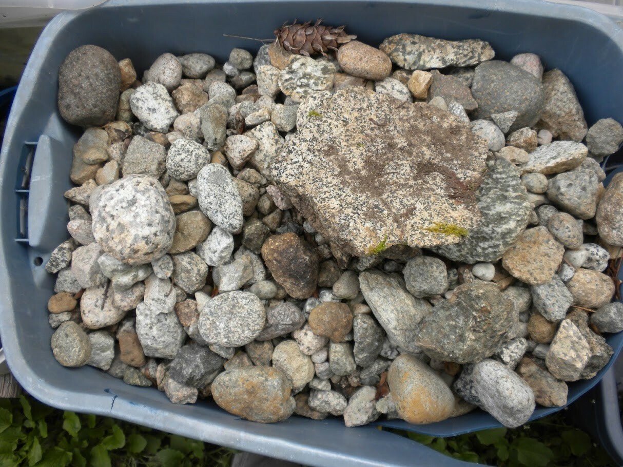 Picture 5 of 24