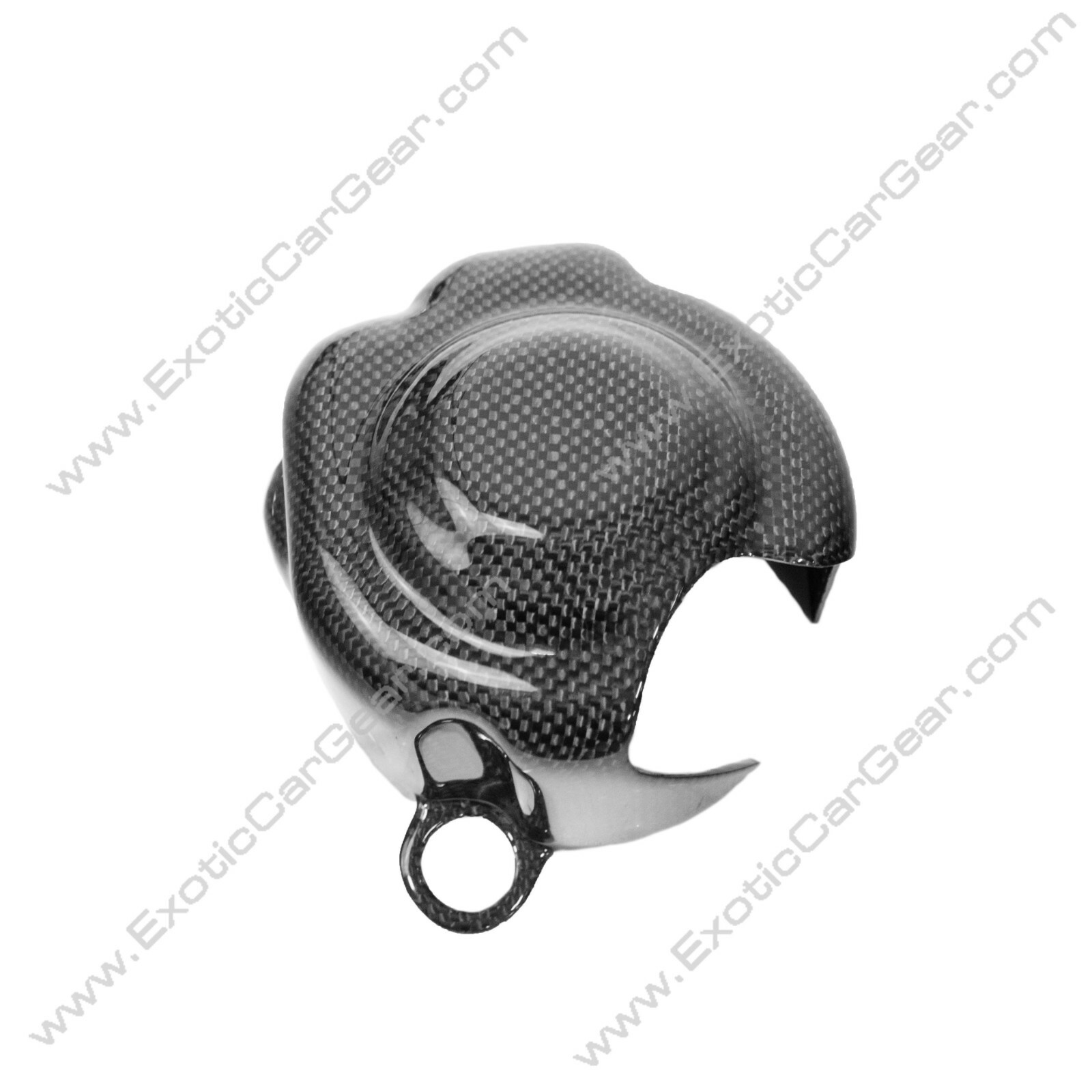 Ferrari 458 Speciale/Italia Carbon Fiber Fuel Pump Covers