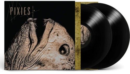 Pixies - Complete B Sides: 1988-97 [New Vinyl LP]