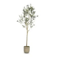 Artificial Olive Tree 6 ft, 71 Inch Faux Olive Tree with White 5ft 11in