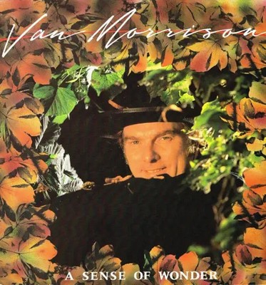 Van Morrison A Sense Of Wonder Polydor Vinyl LP