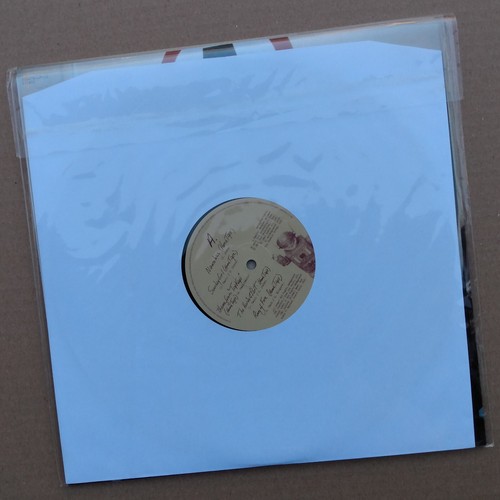 BLONDIE: Home Tapes (Out-takes & Rarities) Super Deluxe Edition Version Ltd 500 - Picture 11 of 17