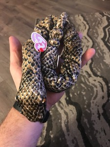 zodiac snake beanie baby value