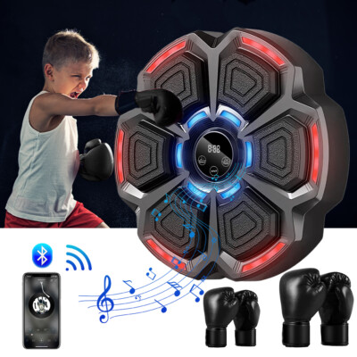 Music Boxing Machine - Wall Mounted 9 Speed Punching Machine