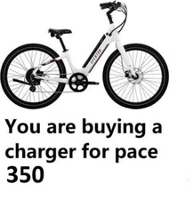 🔥Smart Charger ac adapter for AVENTON  pace  350 Electric Bike