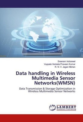 Data handling in Wireless Multimedia Sensor Networks(WMSN) Sreeram Indraneel