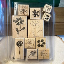 Rubber Stamps: Stampin  Up Box of Flowers