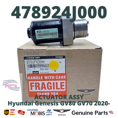 GENUINE OEM| Hyundai KIA RR Differential Diff Lock Actuator Motor Genesis GV80
