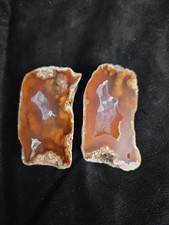 Agatowana para skamieniałości koralu Tampa Floryda 85 gramów