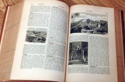 The American Cyclopædia (Appleton) Vols I-XVI + Index Complete Set Antique 1879 - Picture 10 of 12