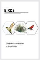 Birds | Glorya Phillips | Taschenbuch | Kartoniert / Broschiert | Englisch