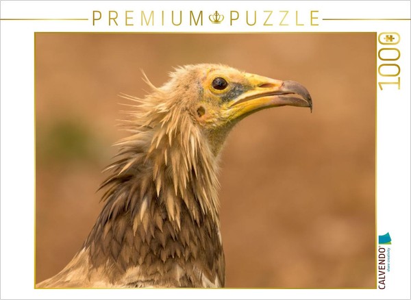 Calvendo Puzzle Egyptian Vulture Portrait | 1000 Pieces, Finished Size 25.2 × 18-image