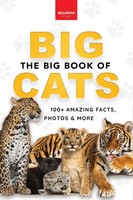 The Big Book Of Big Cats | Jenny Kellett | Taschenbuch | Animal Books for Kids