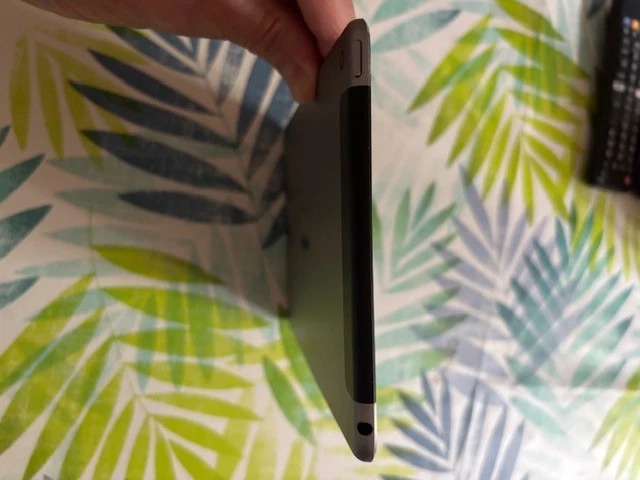 Apple iPad mini (4th generation) · 128GB · Cellular, foto 4 di 5