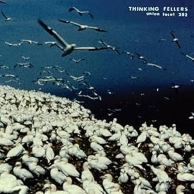 Thinking Fellers Union Local 282 - These Things Remain Unassigned [VINYL]