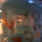Bild 4 von 12